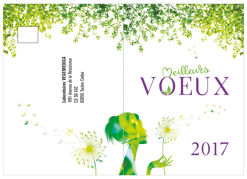 Voeux Vegemedica 2017 by NoonGraphicDesign
